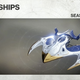 Okay, that is a cool ship.